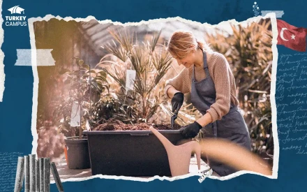 دراسة تخصص نبات زينة وتنسيق في تركيا