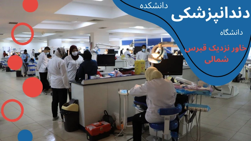 neu-university-dentistry-depart.webp دندانپزشکی دانشگاه خاور نزدیک قبرس شمالی | دندان پزشکی دانشگاه خاور نزدیک قبرس شمالی | شرایط تحصیل دندانپزشکی در قبرس شمالی | هزینه ی تحصیل دندانپزشکی در قبرس | دندانپزشکی قبرس مورد تایید است