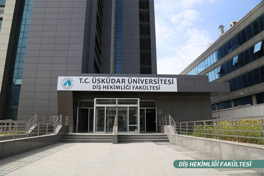 UD.jpg