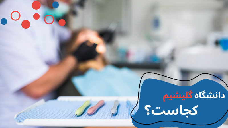 gelisim-university-dentistry-loc.png دندانپزشکی دانشگاه گلیشیم استانبول | دانشگاه گلیشیم استانبول | پذیرش دانشگاه گلیشیم | درامد دندانپزشک در ترکیه | دانشگاه گلیشیم ترکیه
