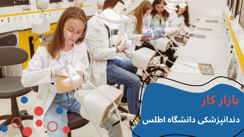 atlas-university-dentistry-jobs.webp دندانپزشکی دانشگاه اطلس | پذیرش دانشگاه اطلس استانبول | بهترین دانشگاه دندان پزشکی ترکیه | دانشگاه اطلس ترکیه | دانشگاه خصوصی اطلس ترکیه