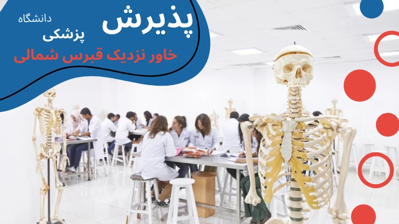 neu-university-medicine-apply.webp پزشکی دانشگاه خاور نزدیک قبرس شمالی | شرایط تحصیل رشته پزشکی در قبرس | شرایط پذیرش دانشجو پزشکی در قبرس | رشته پزشکی در قبرس شمالی | تحصیل رایگان پزشکی در قبرس
